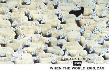 Levi Jeans ad with sheep